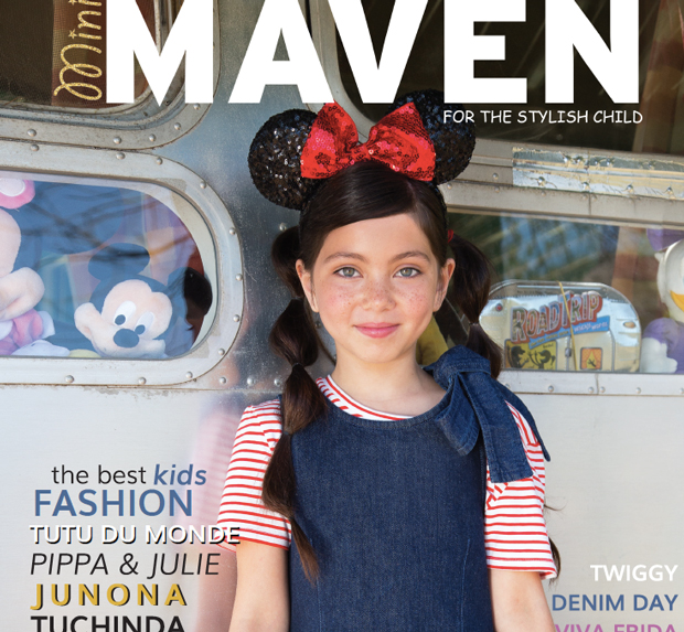 mini-maven_cover